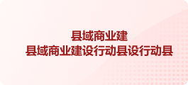 县域商业建县域商业建设行动县设行动县